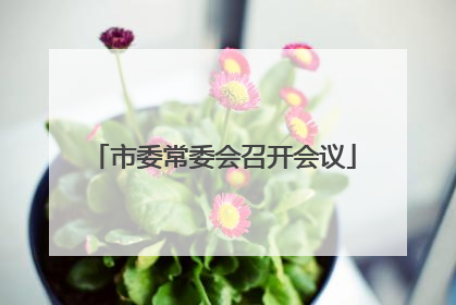 市委常委会召开会议