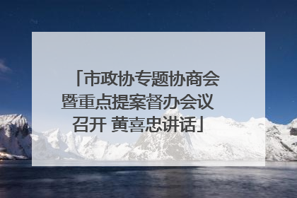 市政协专题协商会暨重点提案督办会议召开 黄喜忠讲话