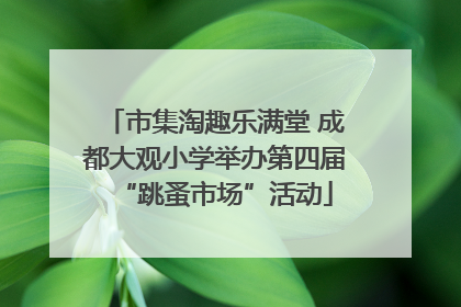 市集淘趣乐满堂 成都大观小学举办第四届“跳蚤市场”活动