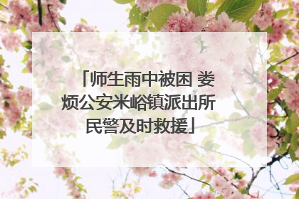 师生雨中被困 娄烦公安米峪镇派出所民警及时救援