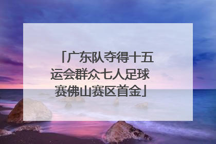 广东队夺得十五运会群众七人足球赛佛山赛区首金