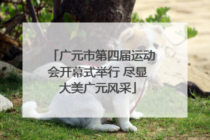 广元市第四届运动会开幕式举行 尽显大美广元风采