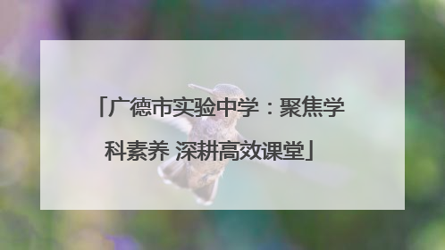 广德市实验中学：聚焦学科素养 深耕高效课堂