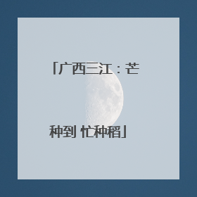 广西三江：芒种到 忙种稻