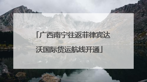 广西南宁往返菲律宾达沃国际货运航线开通