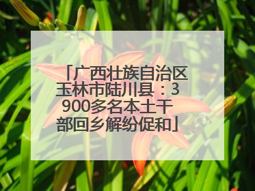 广西壮族自治区玉林市陆川县：3900多名本土干部回乡解纷促和