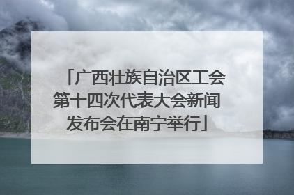 广西壮族自治区工会第十四次代表大会新闻发布会在南宁举行