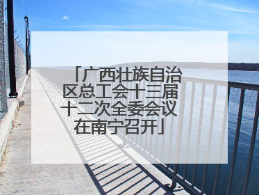 广西壮族自治区总工会十三届十二次全委会议在南宁召开