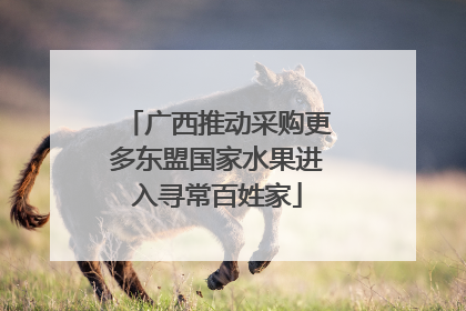 广西推动采购更多东盟国家水果进入寻常百姓家