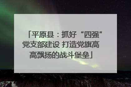 平原县：抓好“四强”党支部建设 打造党旗高高飘扬的战斗堡垒