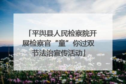 平舆县人民检察院开展检察官“童”你过双节法治宣传活动