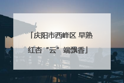 庆阳市西峰区 早熟红杏“云”端飘香