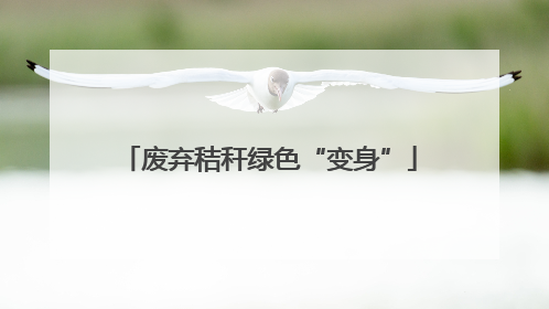 废弃秸秆绿色“变身”