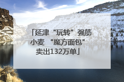 延津“玩转”强筋小麦 “魔方面包”卖出132万单