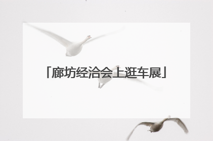 廊坊经洽会上逛车展