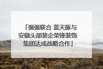 强强联合 蓝天豚与安徽头部装企荣锋装饰集团达成战略合作