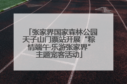 张家界国家森林公园天子山门票站开展“粽情端午·乐游张家界”主题宠客活动