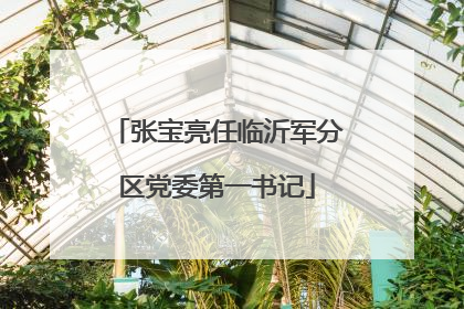 张宝亮任临沂军分区党委第一书记