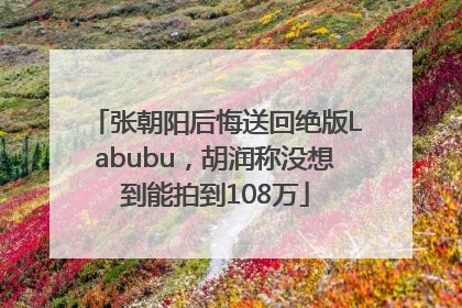 张朝阳后悔送回绝版Labubu，胡润称没想到能拍到108万