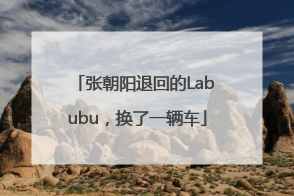 张朝阳退回的Labubu，换了一辆车