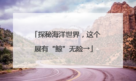 探秘海洋世界，这个展有“鲸”无险→