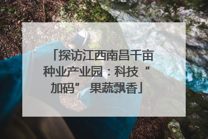 探访江西南昌千亩种业产业园：科技“加码” 果蔬飘香