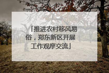 推进农村移风易俗，郑东新区开展工作观摩交流