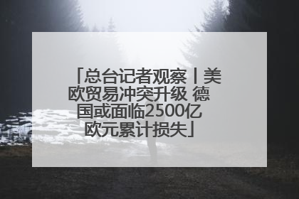 总台记者观察丨美欧贸易冲突升级 德国或面临2500亿欧元累计损失