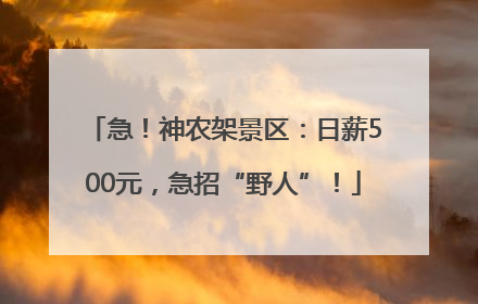 急！神农架景区：日薪500元，急招“野人”！
