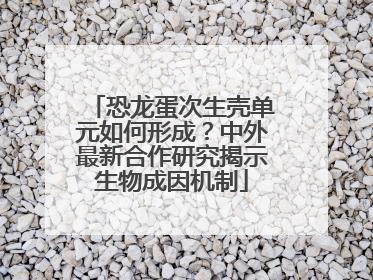 恐龙蛋次生壳单元如何形成？中外最新合作研究揭示生物成因机制
