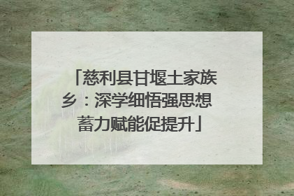 慈利县甘堰土家族乡：深学细悟强思想 蓄力赋能促提升
