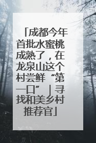 成都今年首批水蜜桃成熟了，在龙泉山这个村尝鲜“第一口”｜寻找和美乡村推荐官