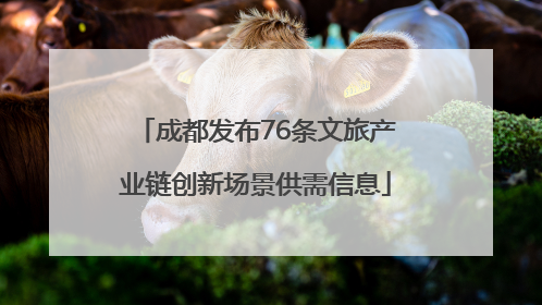 成都发布76条文旅产业链创新场景供需信息