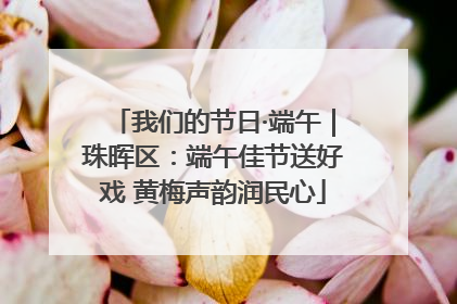 我们的节日·端午｜珠晖区：端午佳节送好戏 黄梅声韵润民心