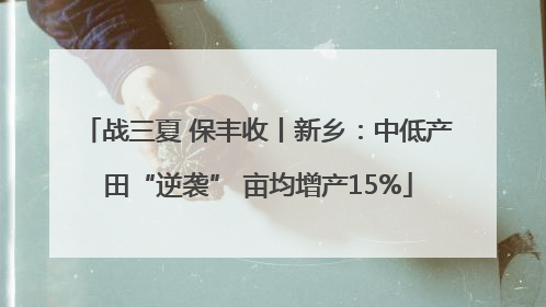 战三夏 保丰收丨新乡：中低产田“逆袭” 亩均增产15%