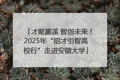 才聚濉溪 智创未来！2025年“招才引智高校行”走进安徽大学