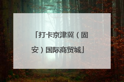 打卡京津冀（固安）国际商贸城