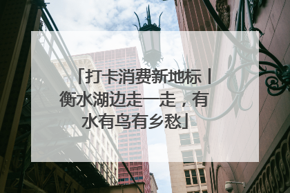打卡消费新地标丨衡水湖边走一走，有水有鸟有乡愁