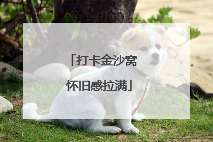 打卡金沙窝 怀旧感拉满
