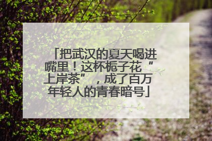把武汉的夏天喝进嘴里！这杯栀子花“上岸茶”，成了百万年轻人的青春暗号