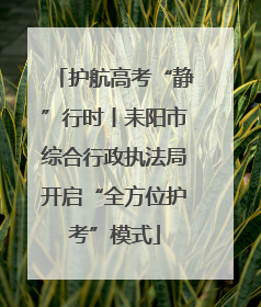 护航高考“静”行时丨耒阳市综合行政执法局开启“全方位护考”模式