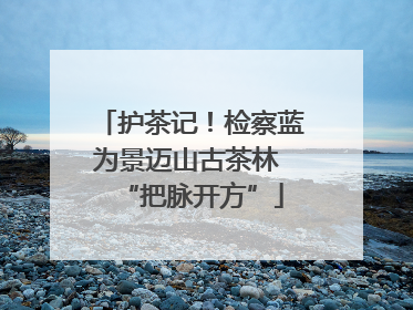 护茶记！检察蓝为景迈山古茶林 “把脉开方”