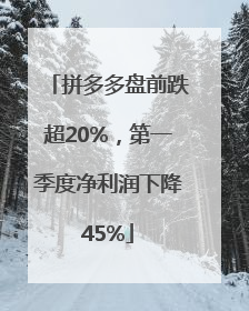 拼多多盘前跌超20%，第一季度净利润下降45%
