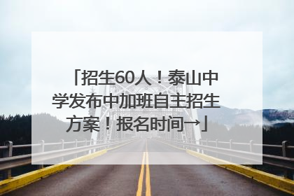 招生60人！泰山中学发布中加班自主招生方案！报名时间→