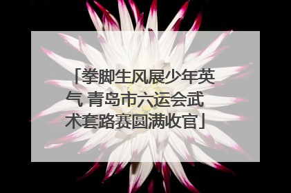 拳脚生风展少年英气 青岛市六运会武术套路赛圆满收官