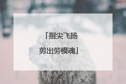 指尖飞扬 剪出劳模魂
