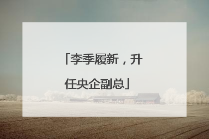 李季履新，升任央企副总