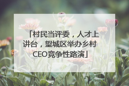 村民当评委，人才上讲台，望城区举办乡村CEO竞争性路演