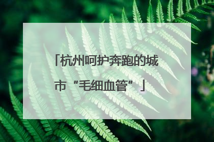 杭州呵护奔跑的城市“毛细血管”