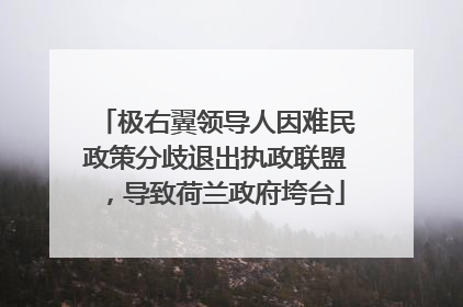 极右翼领导人因难民政策分歧退出执政联盟，导致荷兰政府垮台